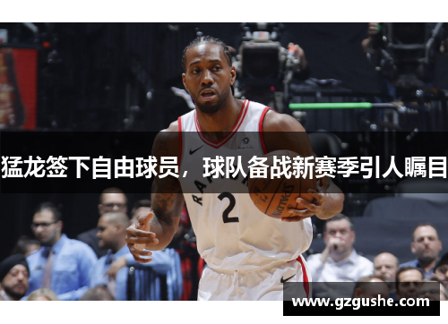 猛龙签下自由球员，球队备战新赛季引人瞩目