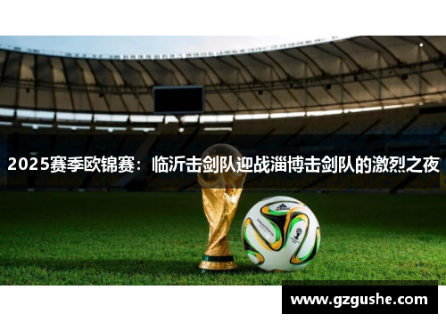 2025赛季欧锦赛：临沂击剑队迎战淄博击剑队的激烈之夜