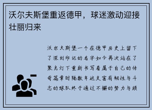 沃尔夫斯堡重返德甲，球迷激动迎接壮丽归来