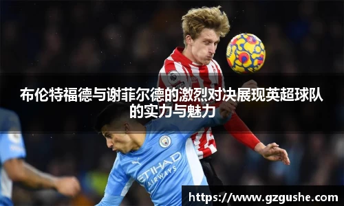 布伦特福德与谢菲尔德的激烈对决展现英超球队的实力与魅力